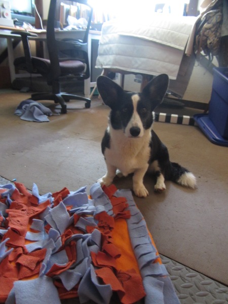 Dog Snuffle Mat, Foldable And Washable Dog Puzzle Feeding Mat, Dog